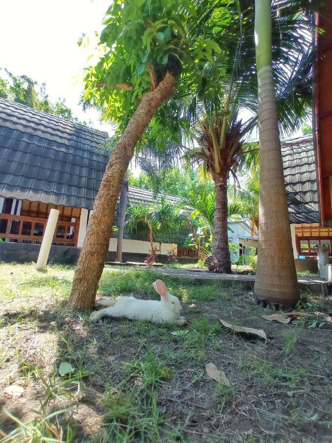 Follow The Rabbit Bungalow Gili Islands Exterior photo