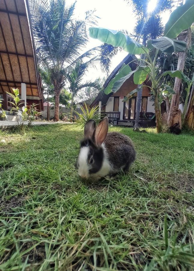Follow The Rabbit Bungalow Gili Islands Exterior photo