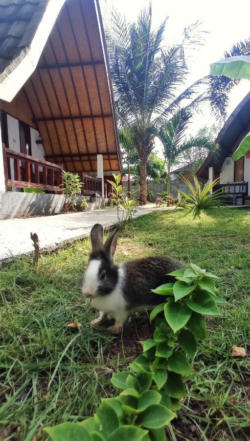 Follow The Rabbit Bungalow Gili Islands Exterior photo