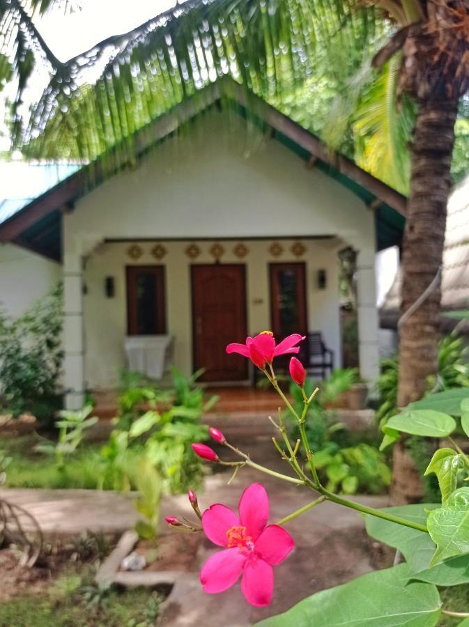 Follow The Rabbit Bungalow Gili Islands Exterior photo