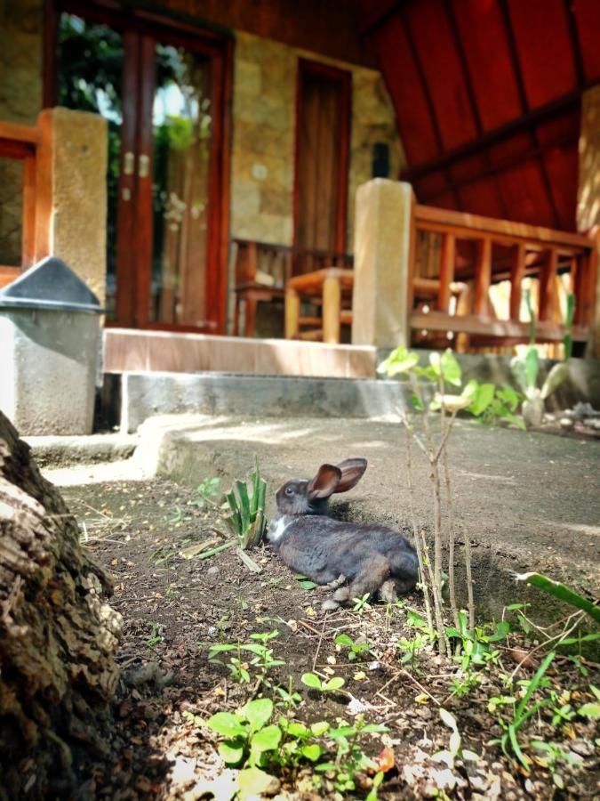 Follow The Rabbit Bungalow Gili Islands Exterior photo