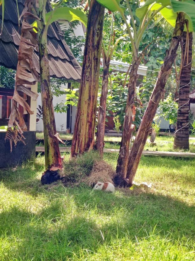 Follow The Rabbit Bungalow Gili Islands Exterior photo