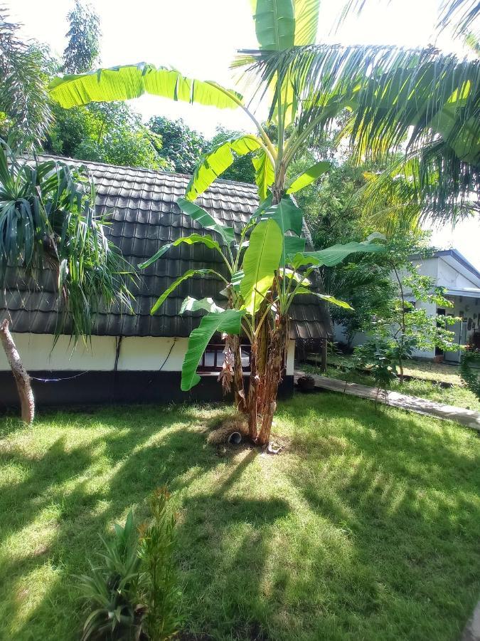 Follow The Rabbit Bungalow Gili Islands Exterior photo